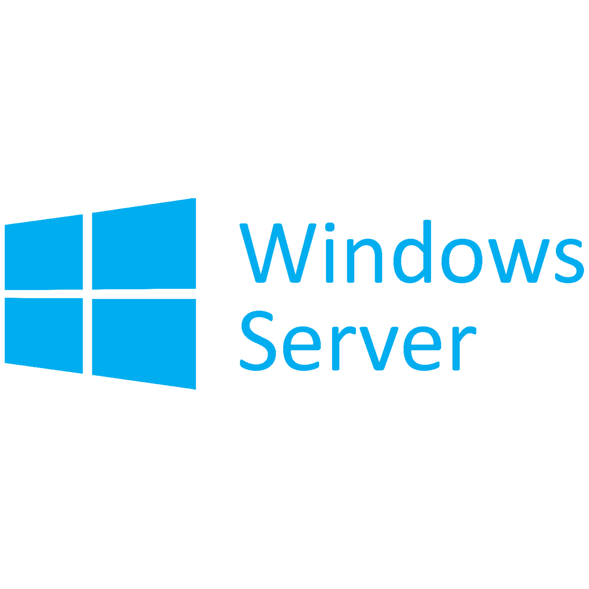 Windows Server